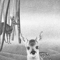 BAMBI COVER-polovica-B small1